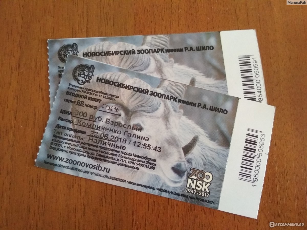 Звери пермь купить билет. Билет в зоопарк. Билеты в зоопарк Новосибирск. Билет в зоосад. Зоопарк Новосиб билет.
