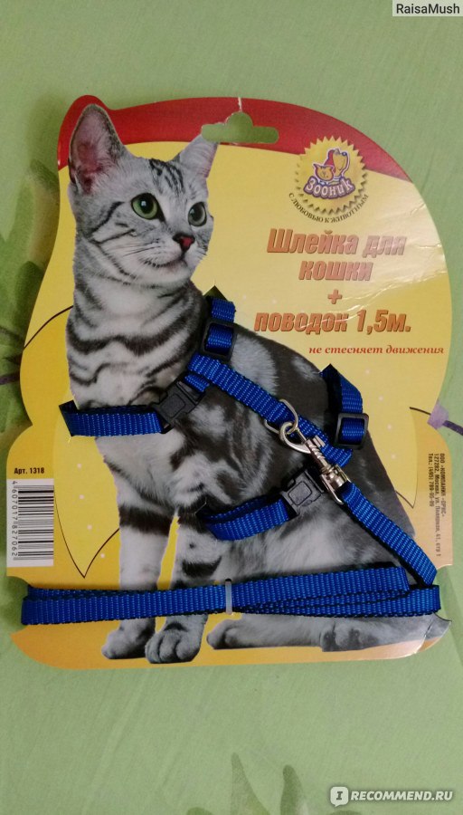Поводки и ошейники для кошек
