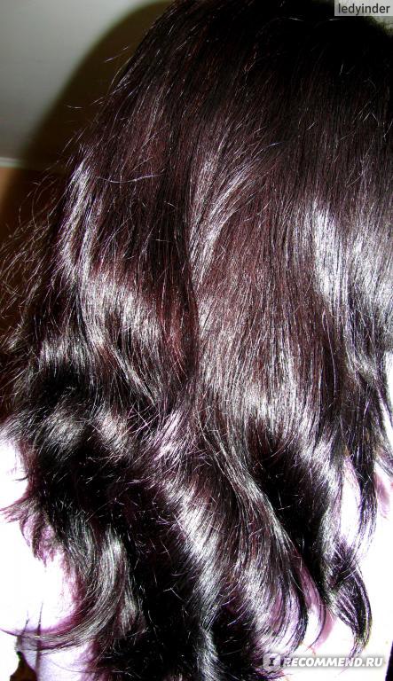 Краска для волос цвет черный тюльпан фото
