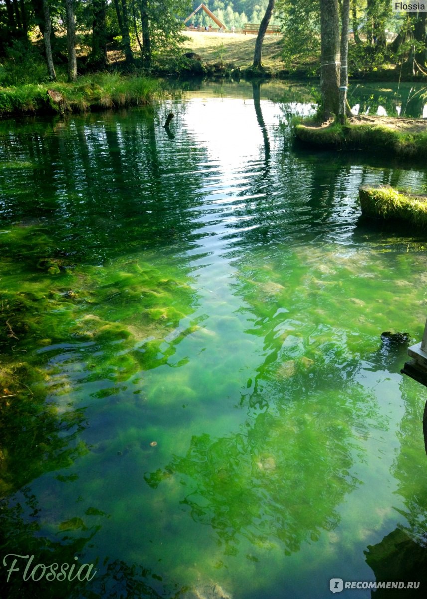 Голубая криница, Беларусь фото