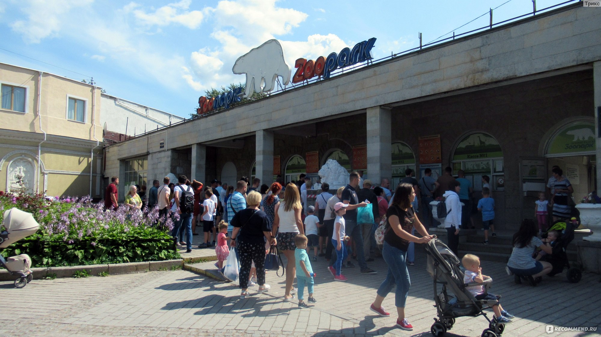 зоопарк в александровском парке