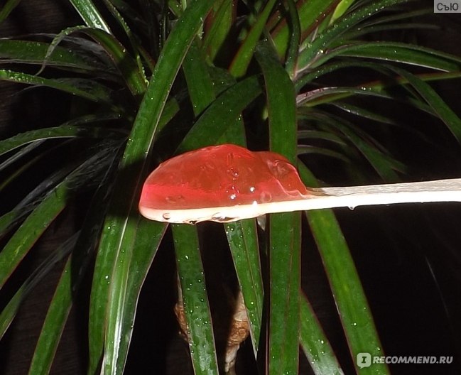 Бальзам для ног Herbamedicus Hautbalsam Rot Weinlaub - отзыв