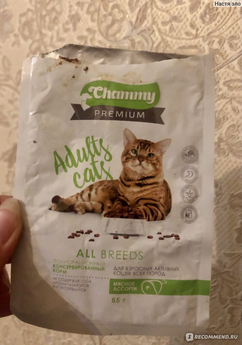 Корм для кошек chammy