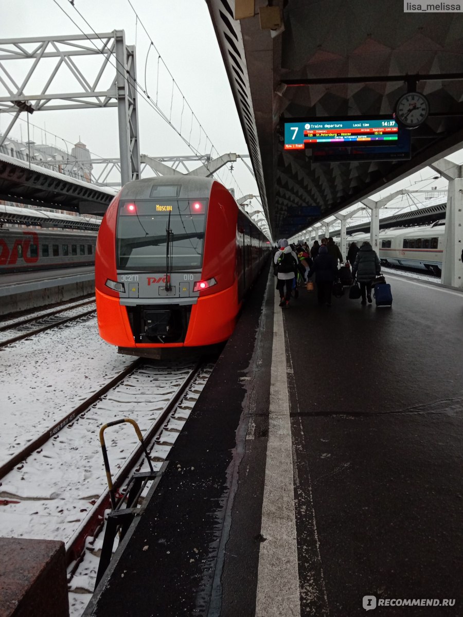 поезд 725ч ласточка санкт петербург москва