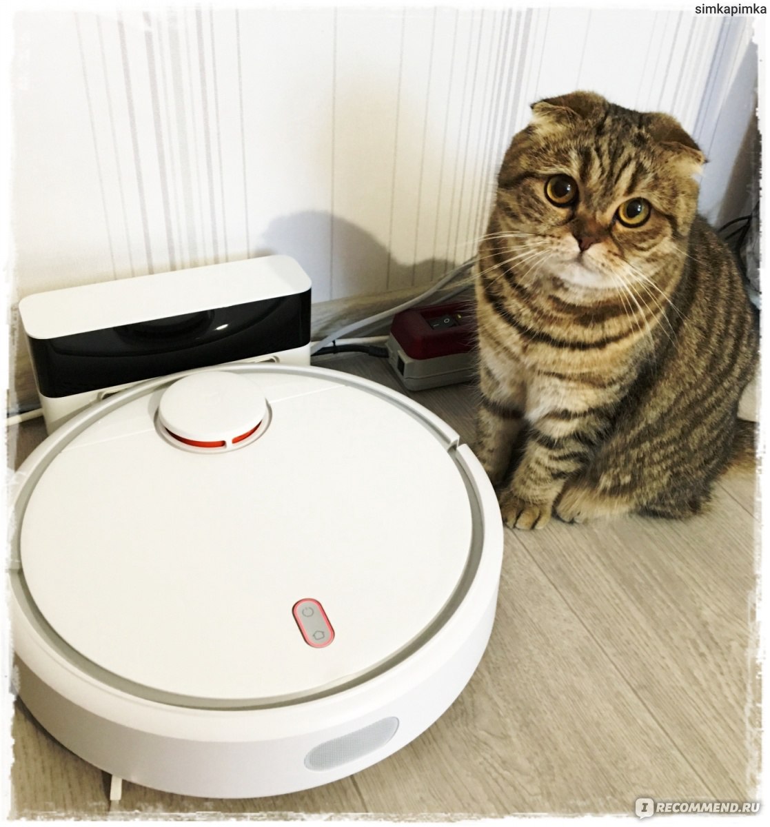 Робот-пылесос Xiaomi Mi Robot Vacuum Cleaner - «٠•♥•٠Купили кошке пылесос !  ОТКРЫВАЕМ ПОКУПКУ ВМЕСТЕ ! Подробный разбор этого чуда !٠•♥•٠» | отзывы