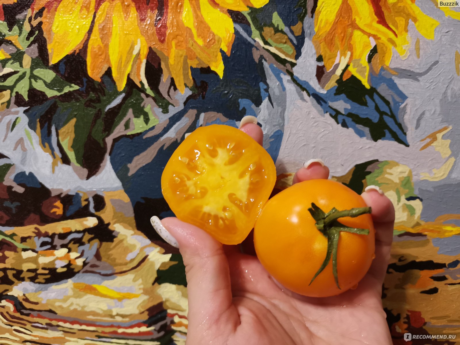 Семена Гавриш - Томат "Апельсин"  фото