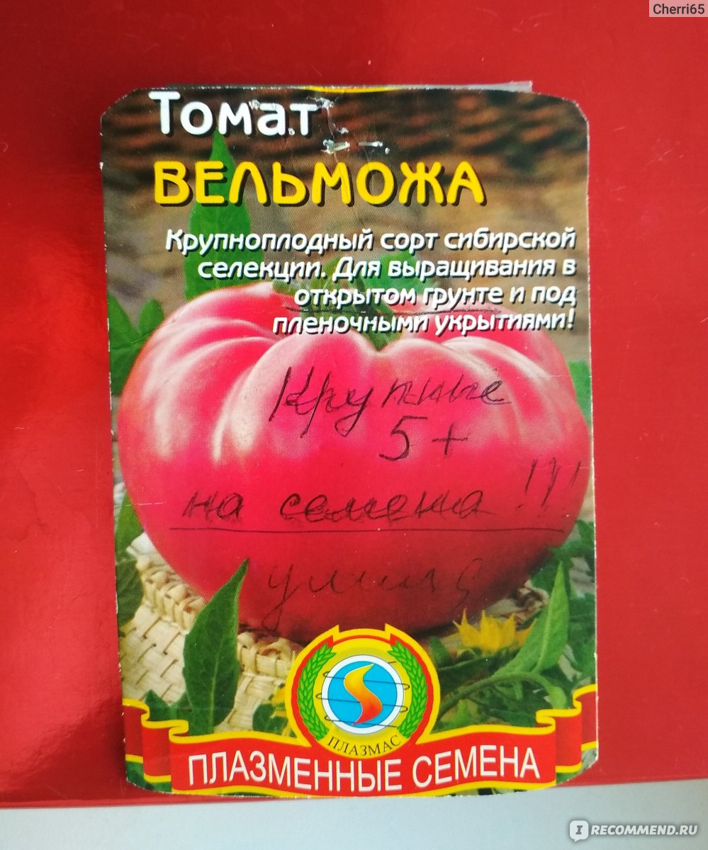 Томат Вельможа - «Урожайный сорт томата. Крупноплодные, одним томатом можнонакормить всю семью. Даст фору дорогим новикам современного рынка семян, истоять то они всего 20 рублей.»