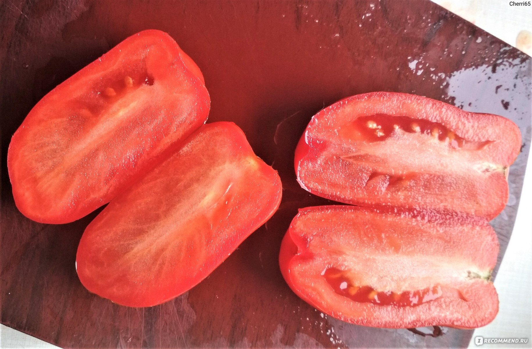 Жиголо томат фото