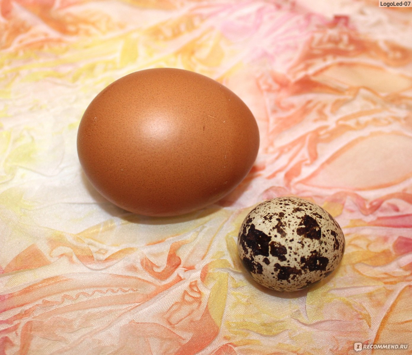 Форма яйца перепелиного силикон