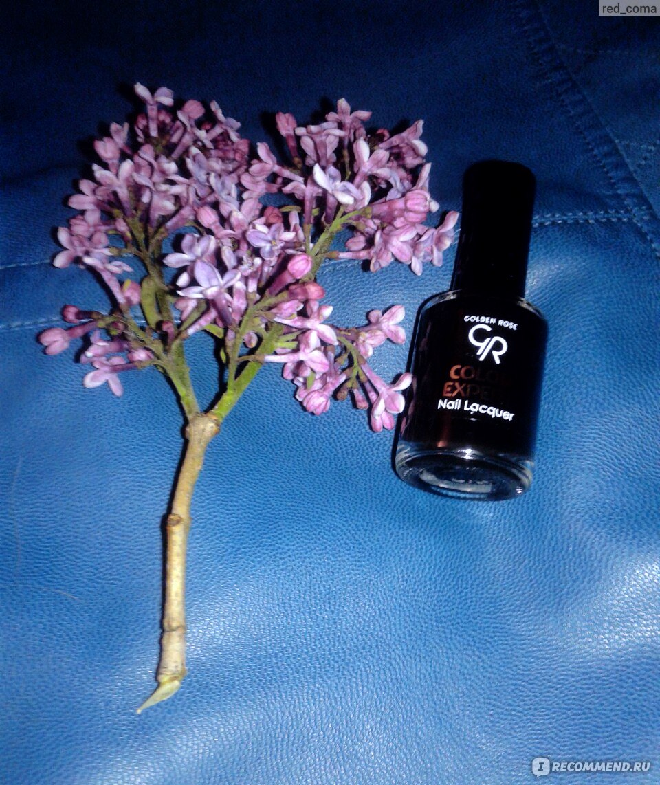 Лак для ногтей Golden Rose Rich color - «Лак для ногтей Golden Rose ...