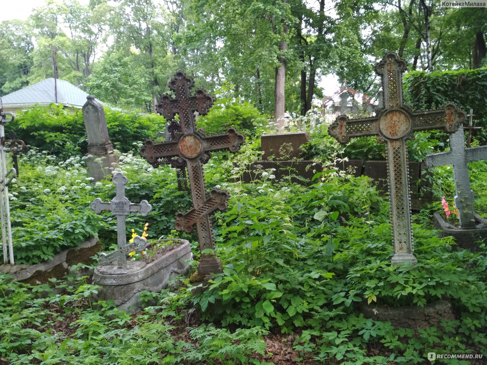 Ксения Петербургская могила в Санкт-Петербурге на главном кладбище
