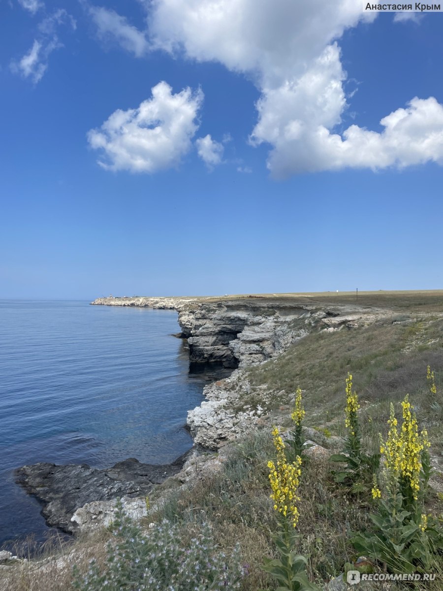 пгт.Черноморское, Крым - «Чудесное Черноморское и его красивейшие  окрестности!!!Западный Крым идеальное место для семейного отдыха!» | отзывы