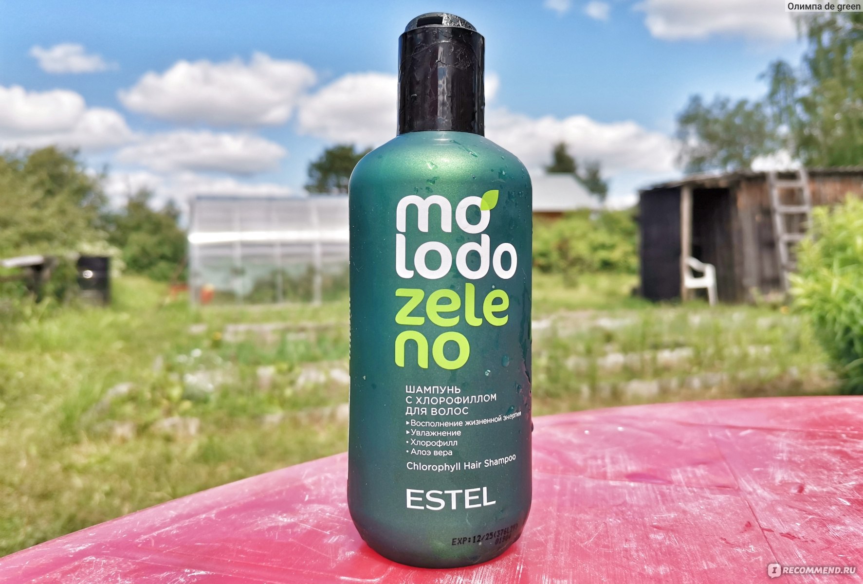 Шампунь Estel PROFESSIONAL MOLODO ZELENO для ухода за волосами с ...