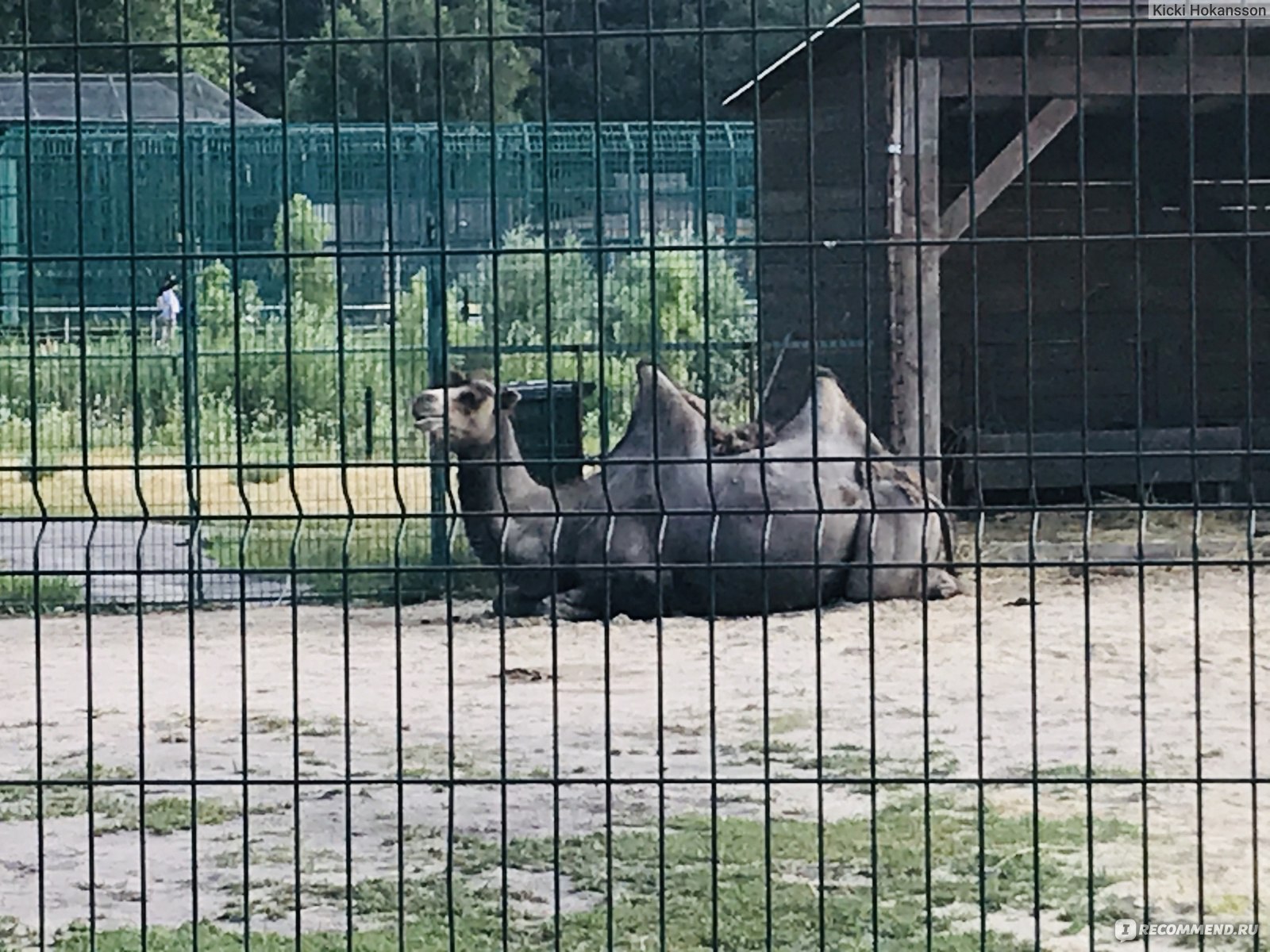 зоопарк в белгороде