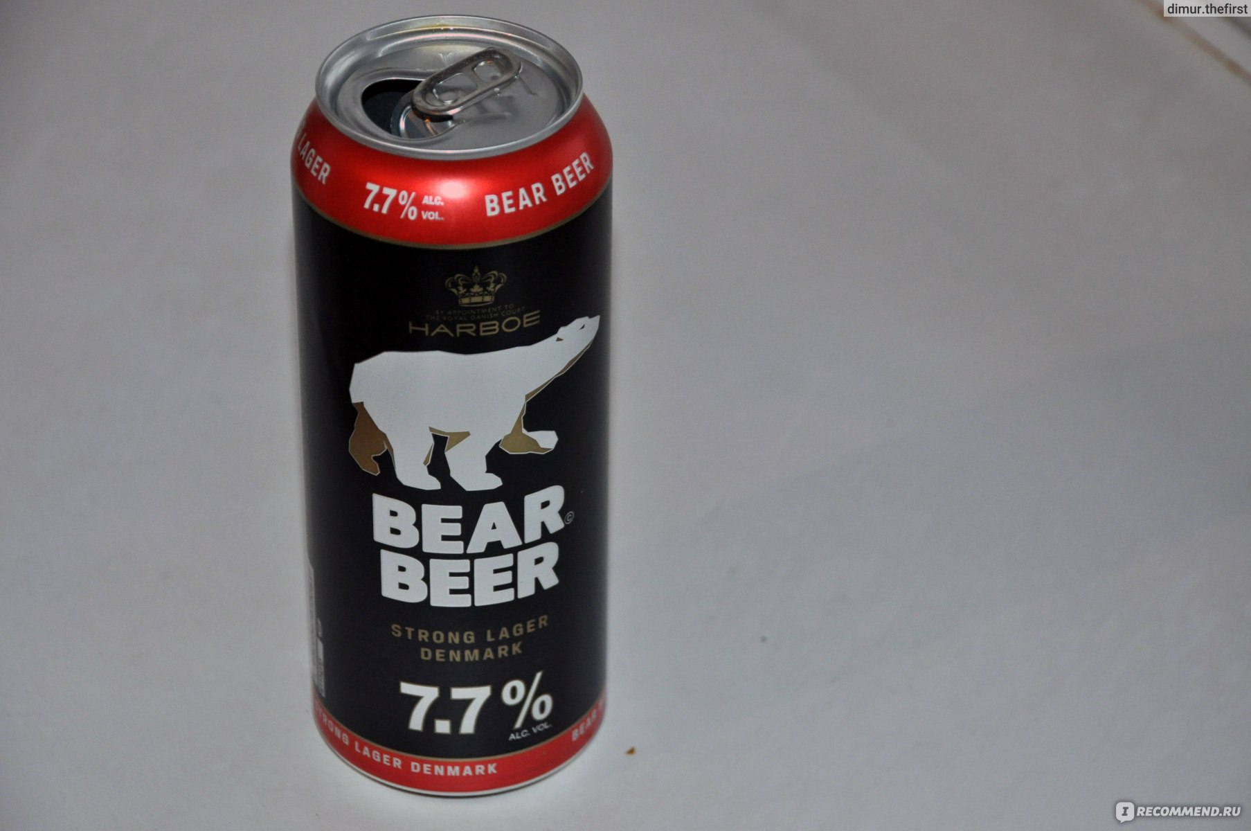 Пиво медведь фото Пиво Harboe Bear Beer 7,7% - "Угостили медведем, ничего особенного, но банка кра