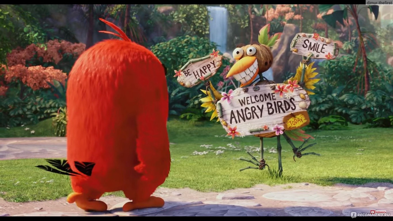 Angry Birds в кино - «Злые птички, фильм, который вытянул из примитивной  аркады отличное приключение для детей и взрослых» | отзывы