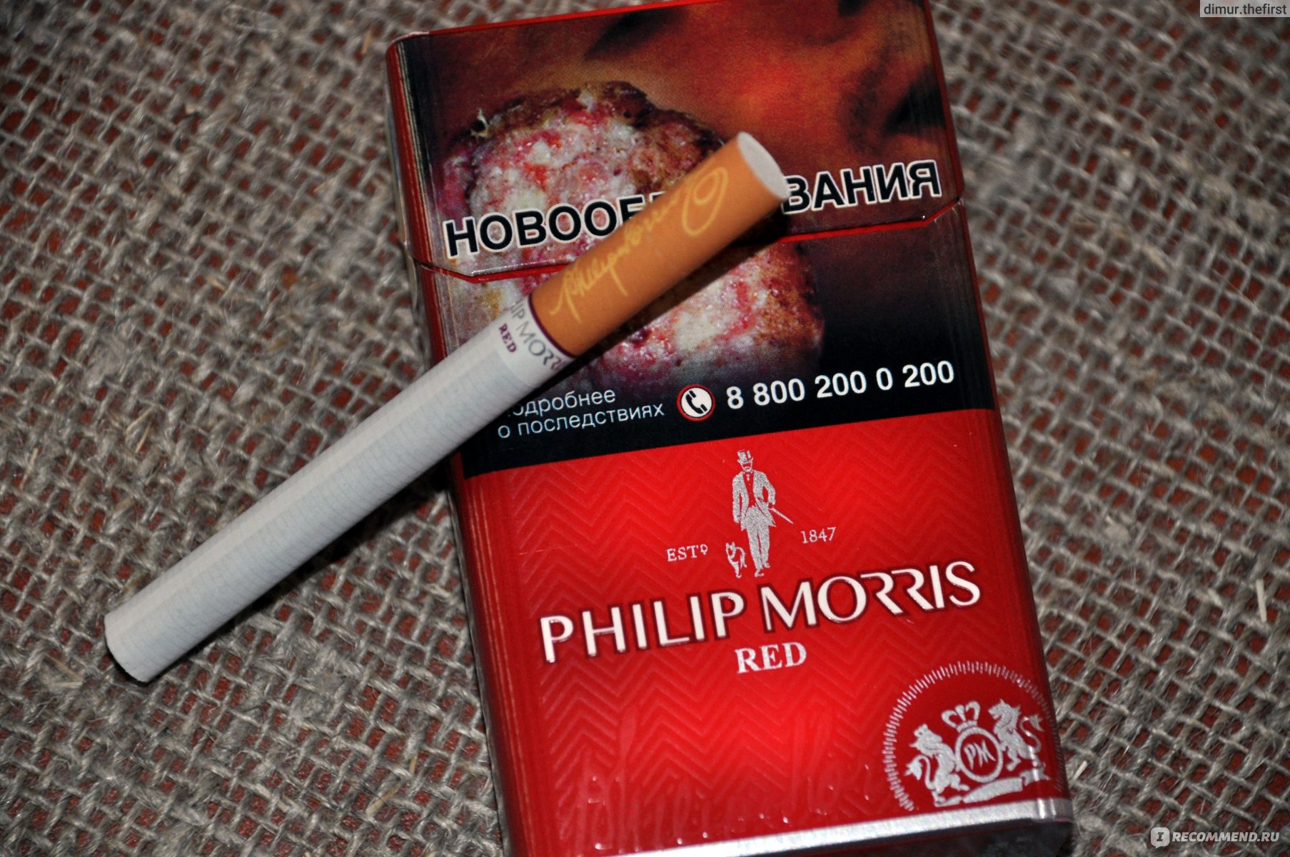 Ред сигареты купить. Сигареты Филип Моррис красный. Сигареты красни флип Морес. Сигареты Филип Морис с красной кнопкой. Сигареты пилпморс красный.