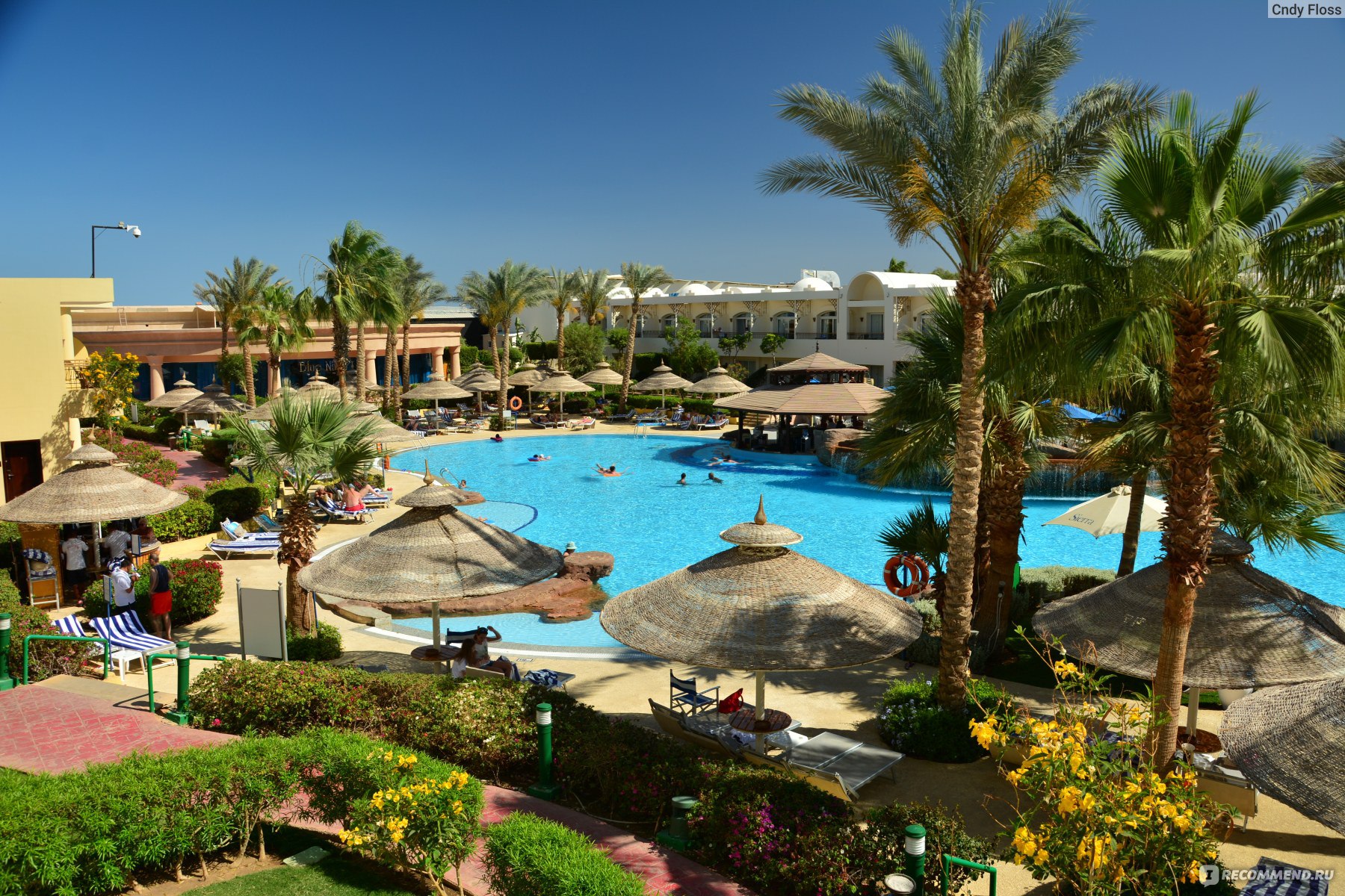 египет отель 4 шарм эль шейх
