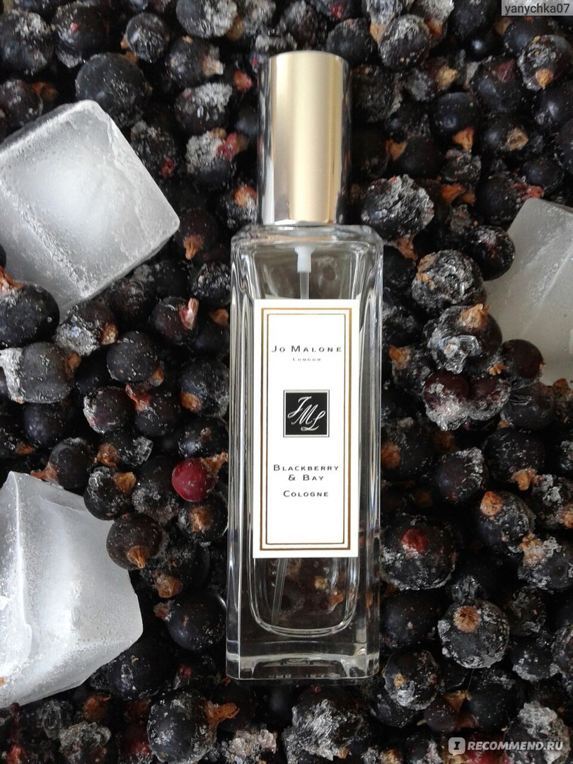 Blackberry bay отзывы. Джо Малон блэкберри Бэй. Джо Малон ежевика. BLACKBERRY Bay духи. Jo Malone BLACKBERRY Bay баннер.