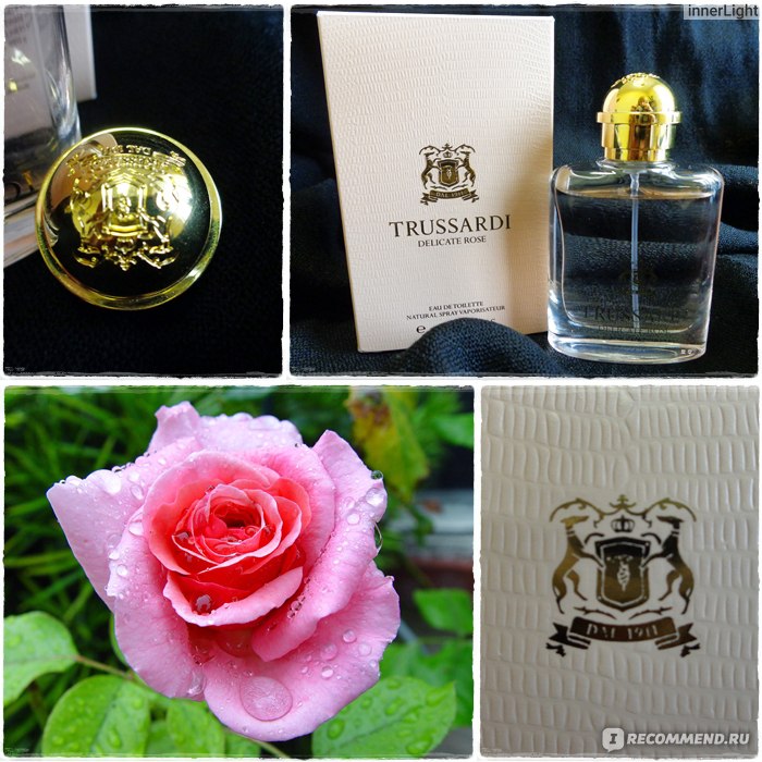 Trussardi delicate rose фото