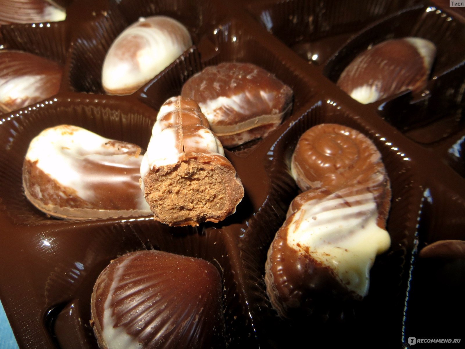 РљРѕРЅС„РµС‚С‹ Vandenbulcke Chocolate Seashells