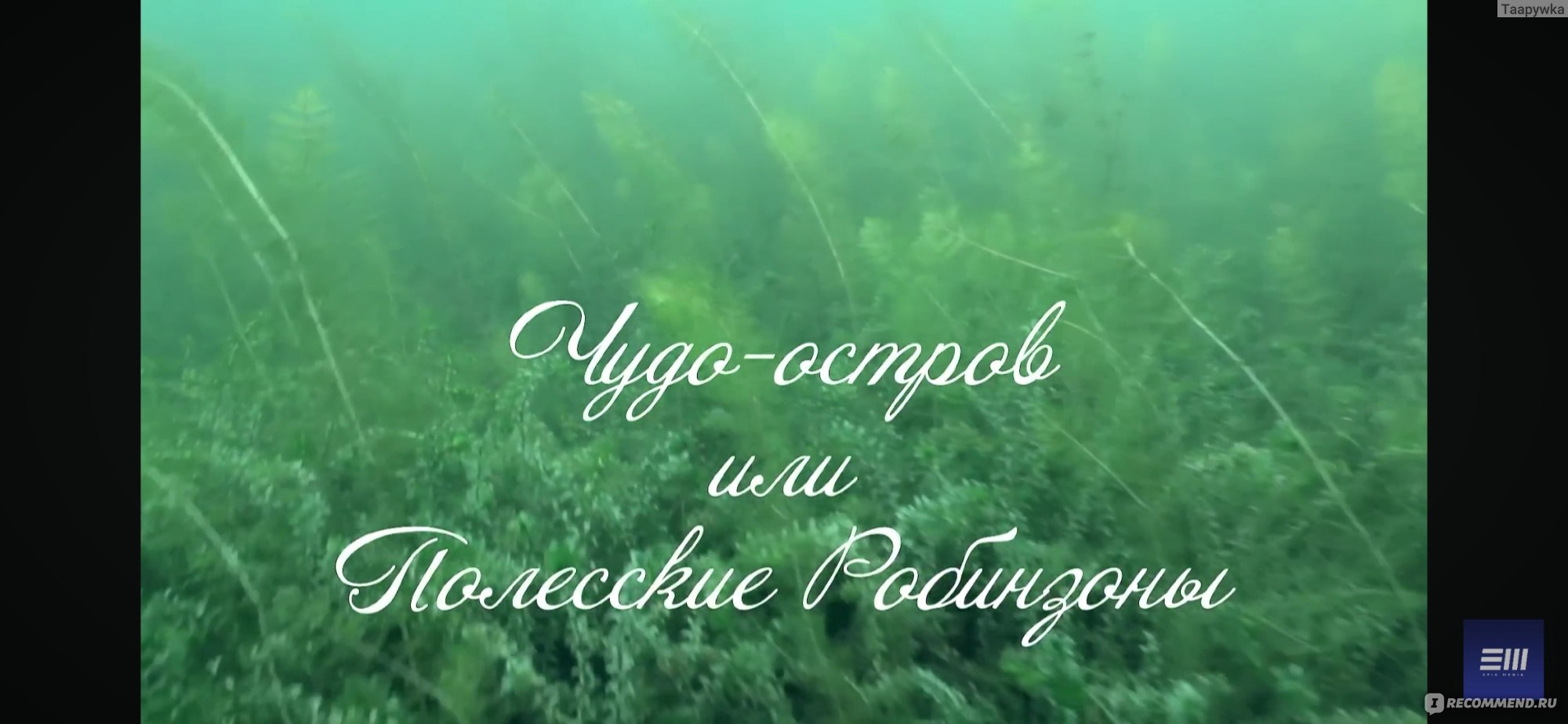 Чудо - остров или Полесские Робинзоны (2014, фильм) - «Книга Полесские  Робинзоны впечатлила детей и взрослых. Чудо остров заманил героев своей  историей и тайнами. Красивые картинки, навыки выживания и опыт на будущее.