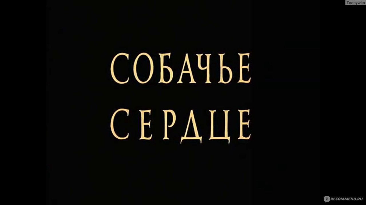 Собачье сердце (1988, фильм) - «Фильм, который можно смотреть и смотреть.  Текст разлетается на цитаты, голова кипит от мыслей» | отзывы