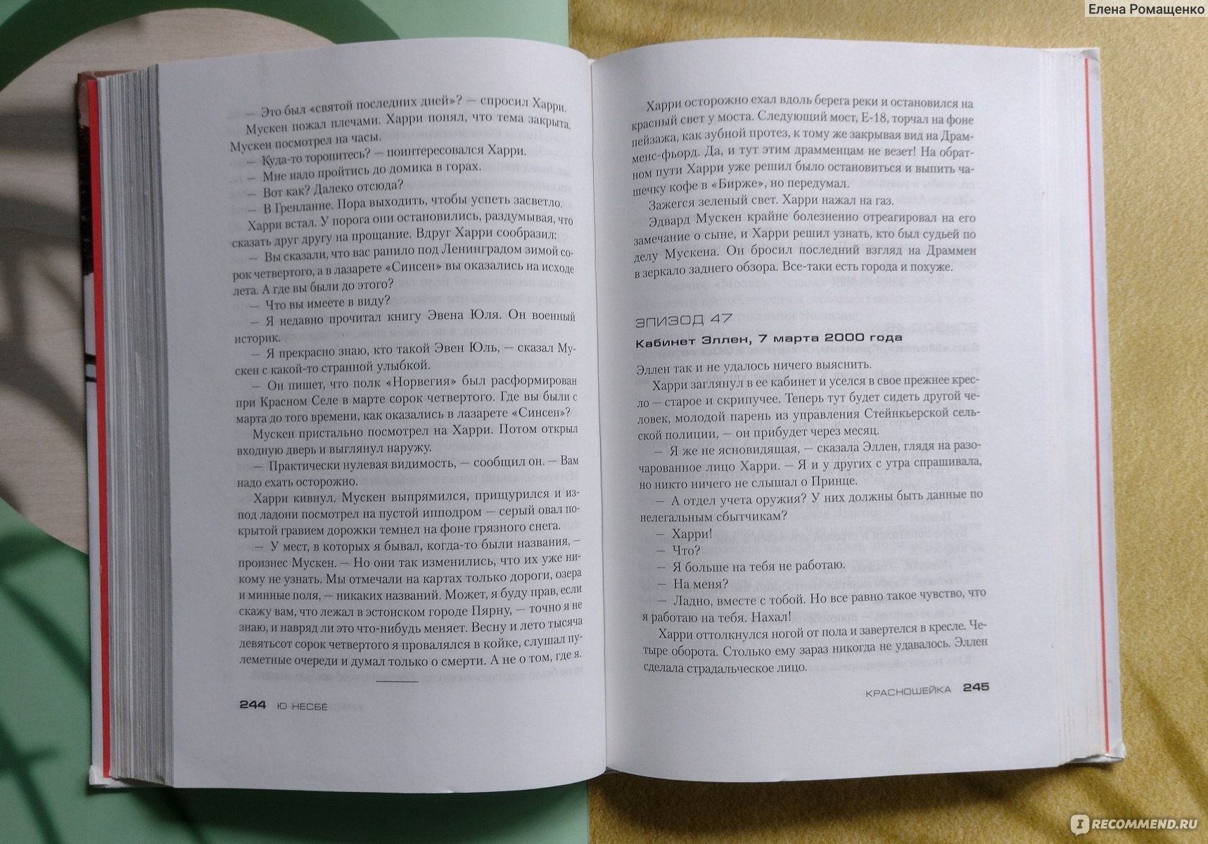 Красношейка. Ю Несбё - «Детектив, военная сага и пронзительная история  любви. Очередное потрясение Харри Холе» | отзывы