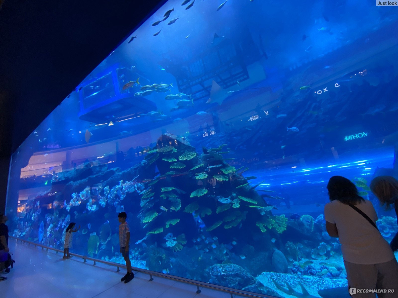 Большой аквариум для рыбок