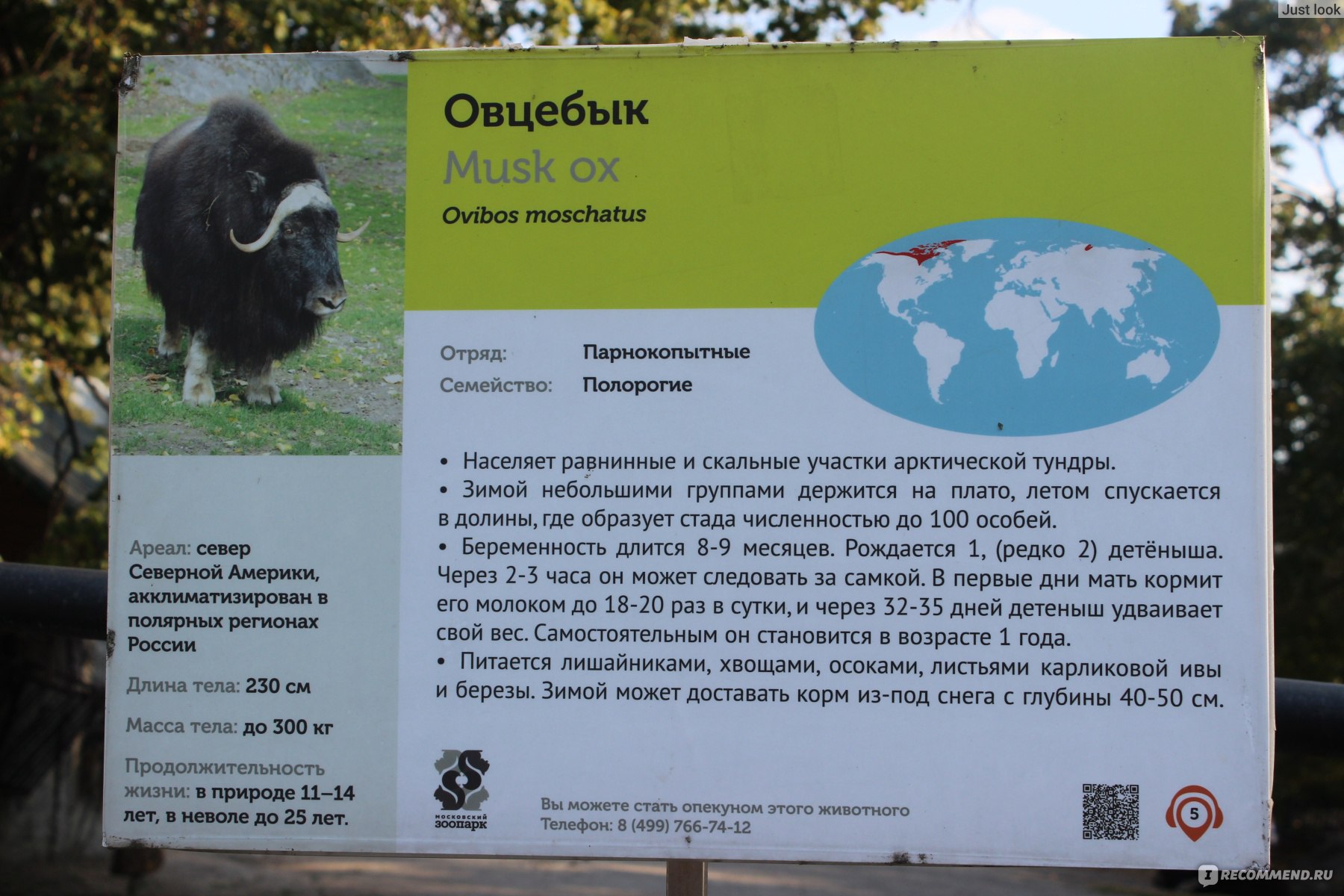 московский зоопарк описание
