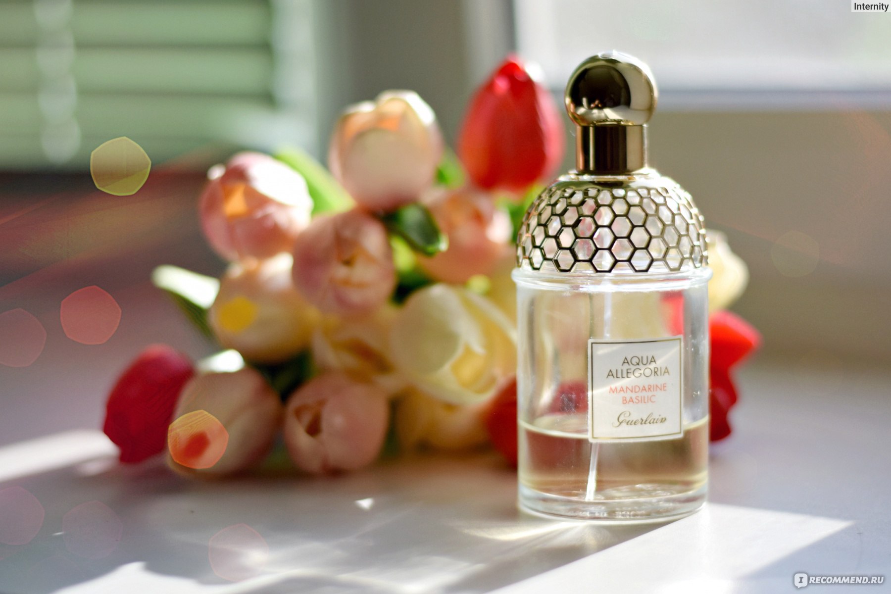 Guerlain aqua allegoria