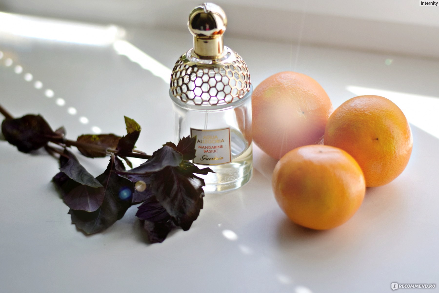 Туалетная вода mandarine basilic. G-011 Guerlain Aqua Allegoria Mandarine basilic. Аква аллегория мандарин базилик. Aqua Allegoria Mandarine basilic Guerlain 35ml. Аква аллегория лимон Верде.