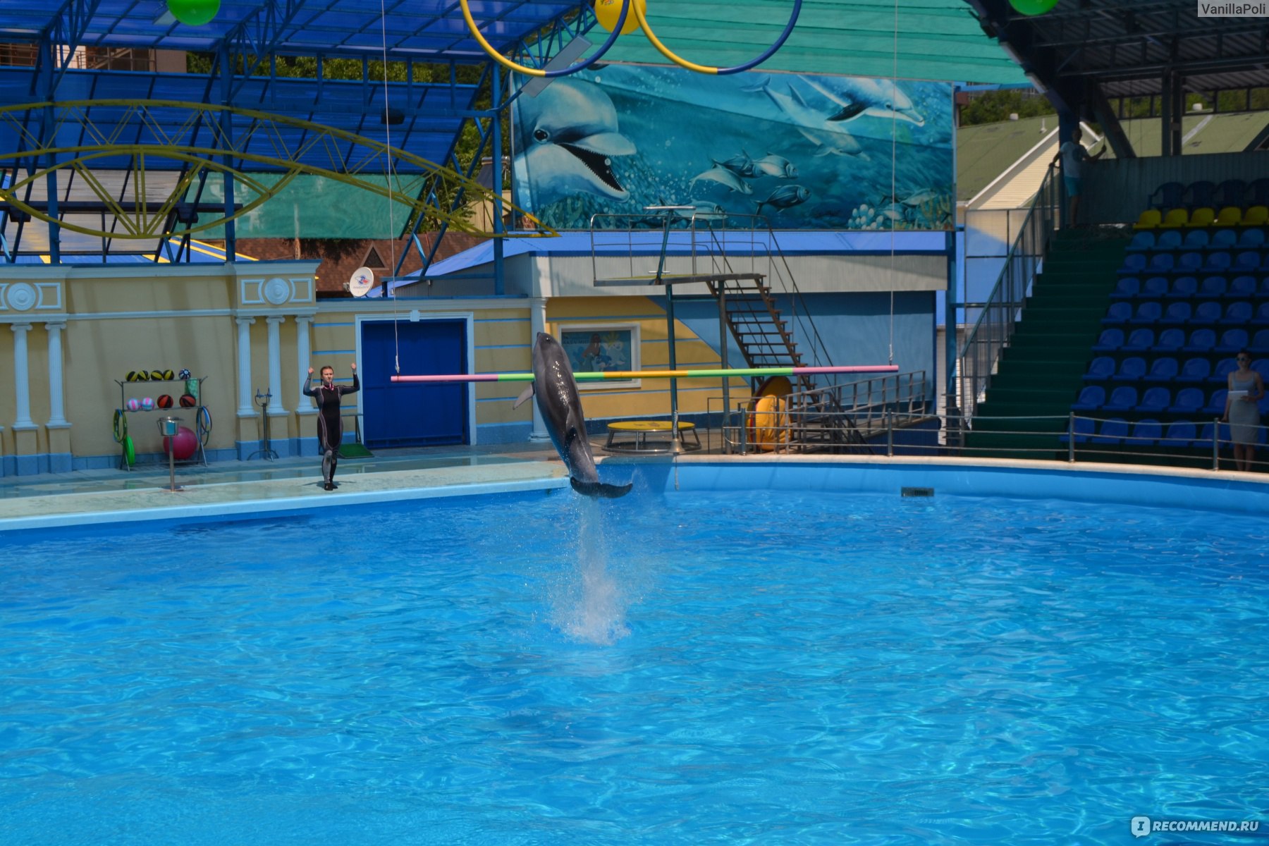 Небуг парк дельфинарий