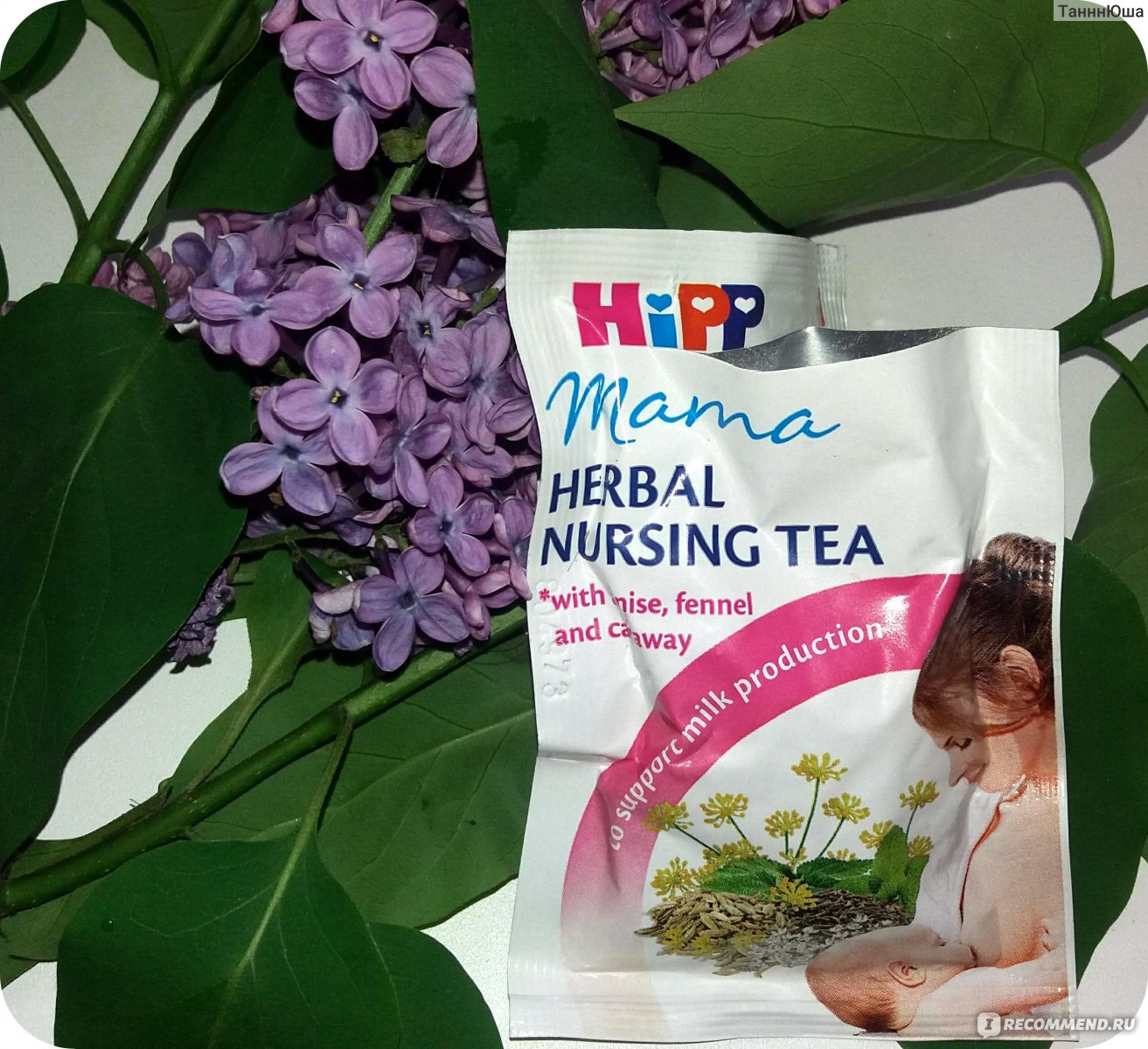 Чай HIPP mama organic nursing tea - «Укропная вода из бабушкиного огорода  или вкусный и полезный заграничный чаек для усиления лактации?» | отзывы