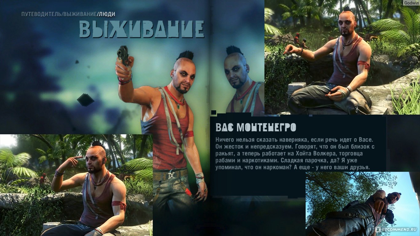 Far Cry 3 - «Far Cry 3. Дичь повсюду – повсюду Дичь. И это всё благодаря  этой захватывающей игре!» | отзывы