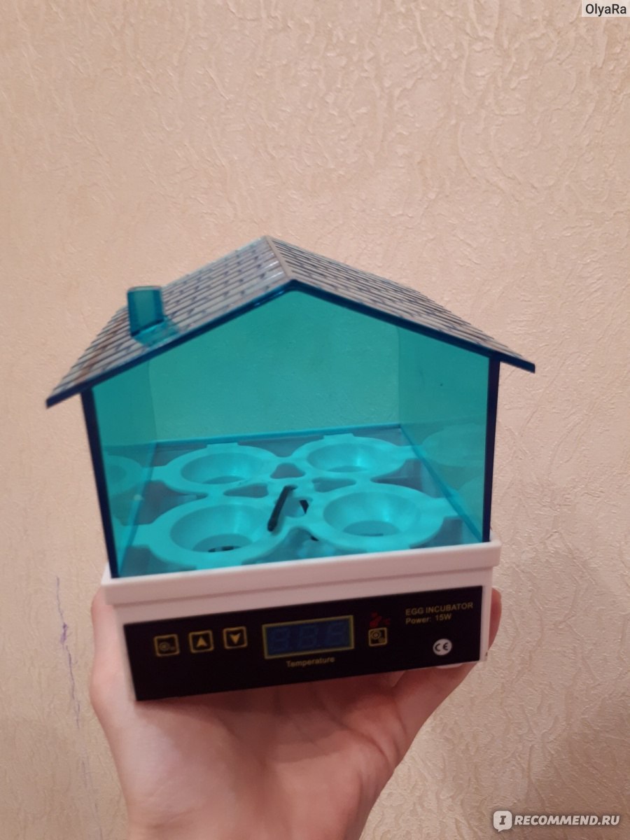 Инкубатор Aliexpress New Cheap Price China Digital Temperature Small  Brooder 4 Mini Hatchery Egg Incubator Hatcher for Chicken Duck Bird Pigeon  Quail - «Инкубируем куриные яйца + эксперимент с магазинными перепелиными  яйцами! » | отзывы