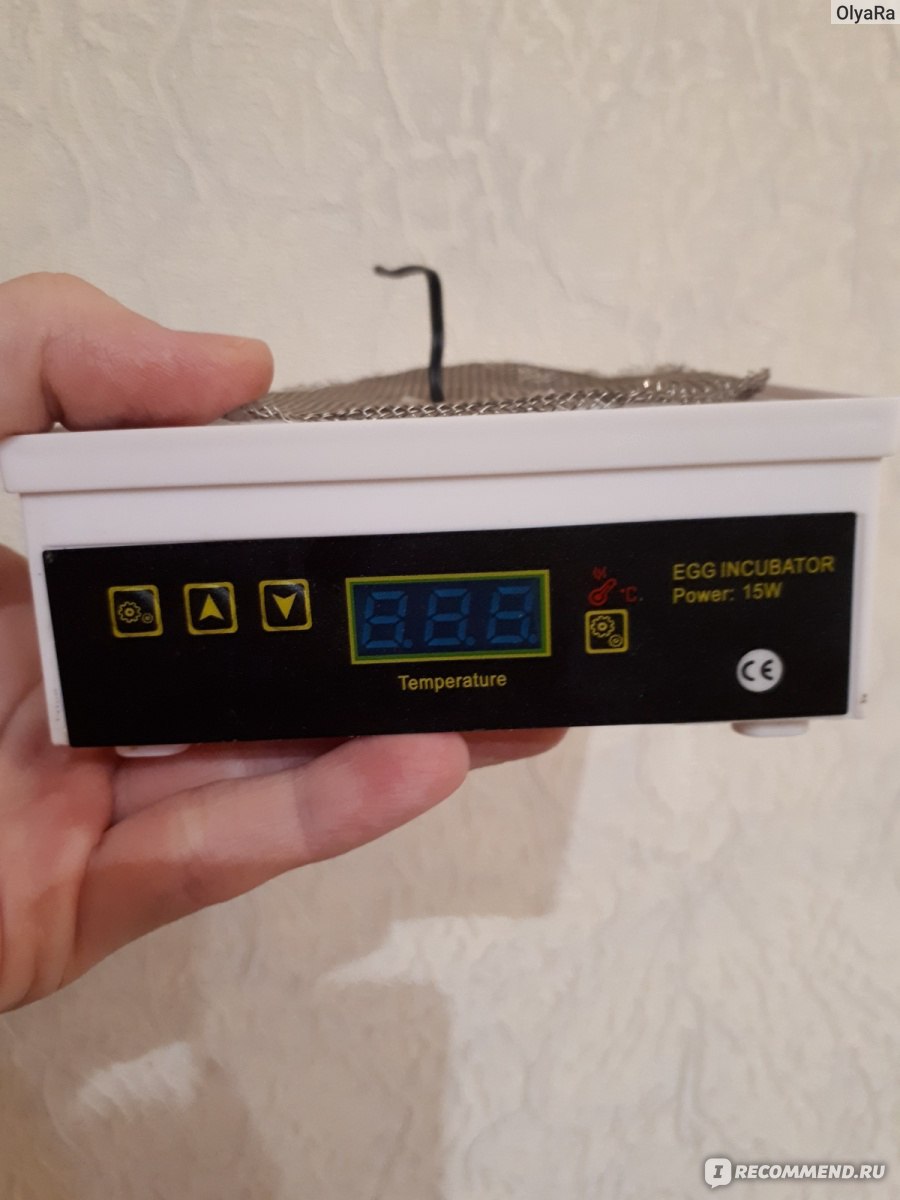 Инкубатор Aliexpress New Cheap Price China Digital Temperature Small  Brooder 4 Mini Hatchery Egg Incubator Hatcher for Chicken Duck Bird Pigeon  Quail - «Инкубируем куриные яйца + эксперимент с магазинными перепелиными  яйцами! » | отзывы