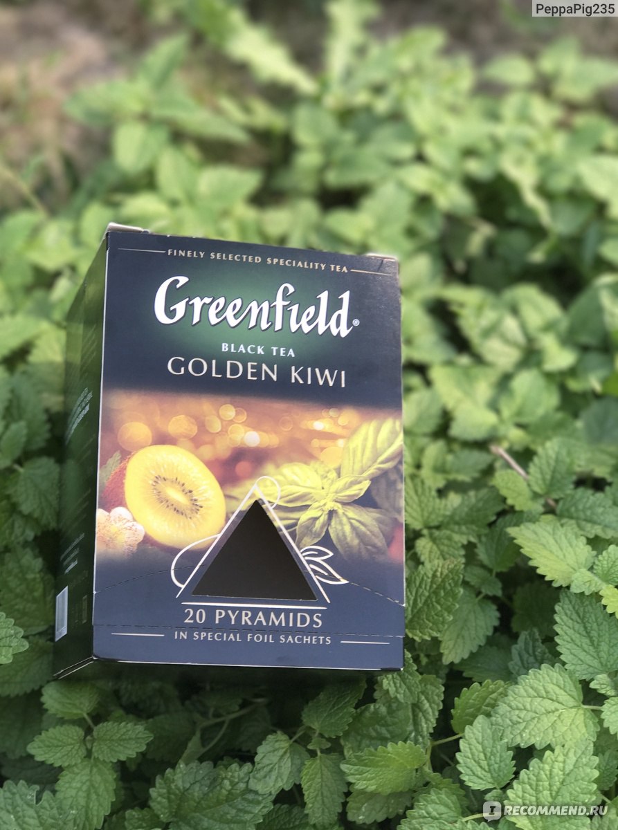 Ароматизированный чёрный чай Гринфилд (Greenfield) Golden Kiwi (Голден ...