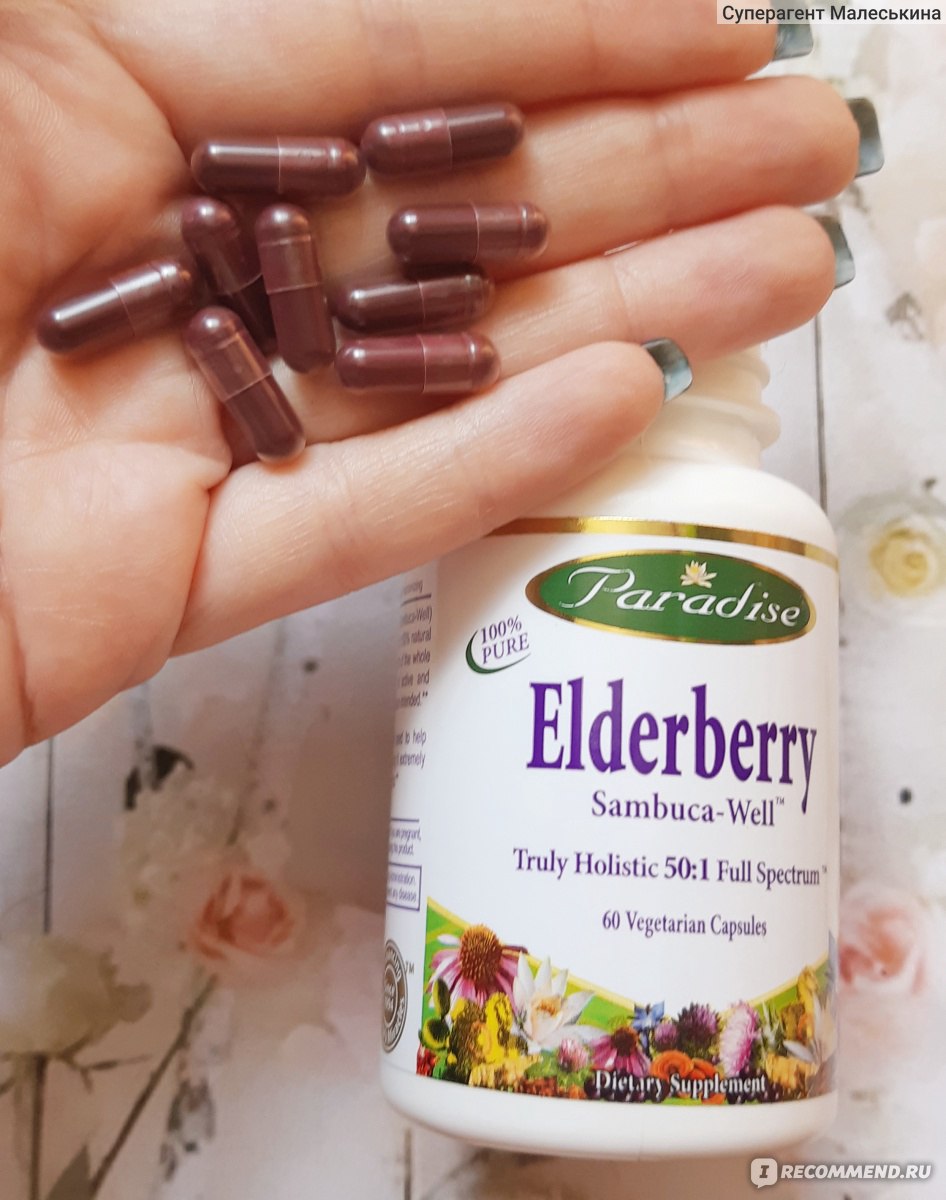 БАД Paradise Herbs Бузина 60 капсул в растительной оболочке - «Чем ...