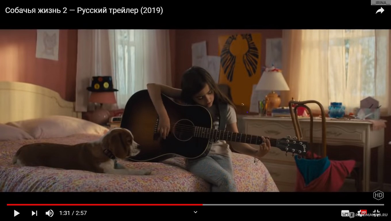 Собачья жизнь 2 (2019, фильм) - «Доброе лёгкое сопереживательное семейное  кино, которое сделает нас чуточку лучше))» | отзывы