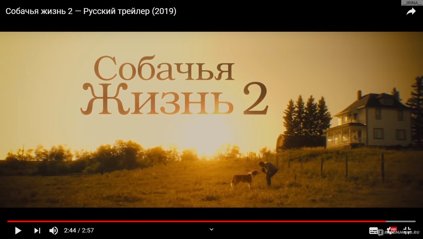 Собачья жизнь 2 (2019, фильм) - «Доброе лёгкое сопереживательное семейное  кино, которое сделает нас чуточку лучше))» | отзывы