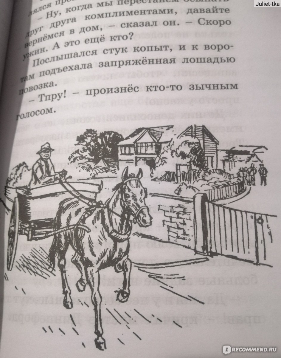 Дело о краже лошадей. Энид Блайтон - «Название не совсем соответствует  содержимому » | отзывы