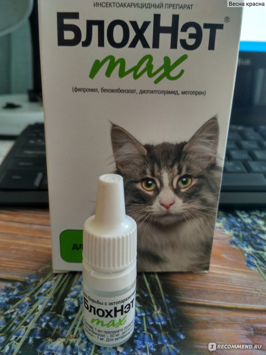 Блохнэт. БЛОХНЭТ Max. БЛОХНЭТ Max капли для котов. БЛОХНЭТ таблетки. Баннер БЛОХНЭТ.