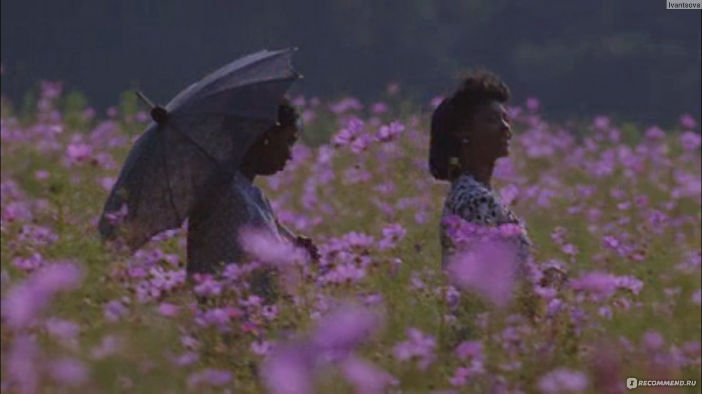 Цветы лиловые полей The Color Purple (1985, фильм) - «Фантастическое кино  для души» | отзывы