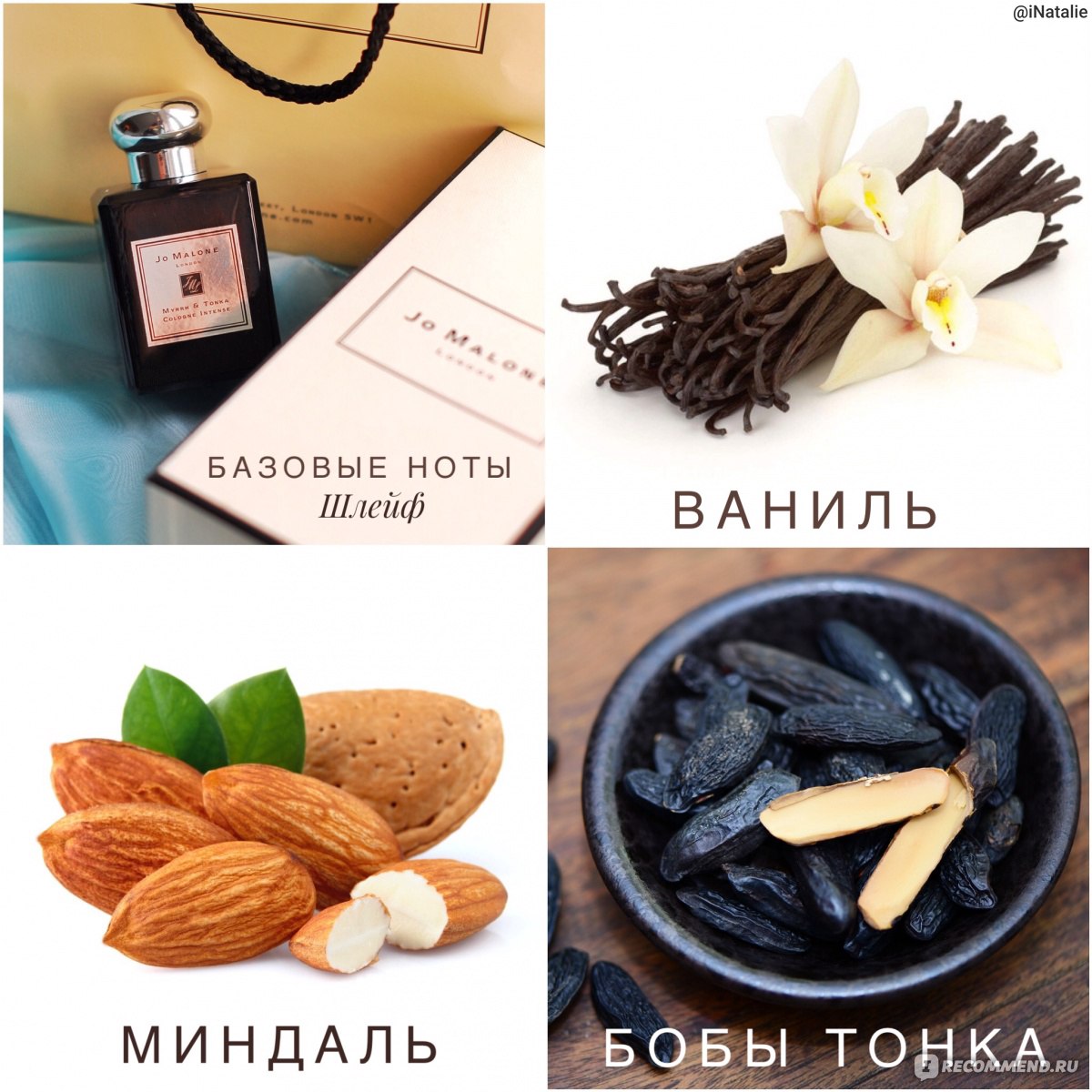 Myrrh tonka. Jo Malone Myrrh Tonka. Myrrh & Tonka intense. Myrrh & Tonka 50ml. Jo Malone Myrrh Tonka Ноты.