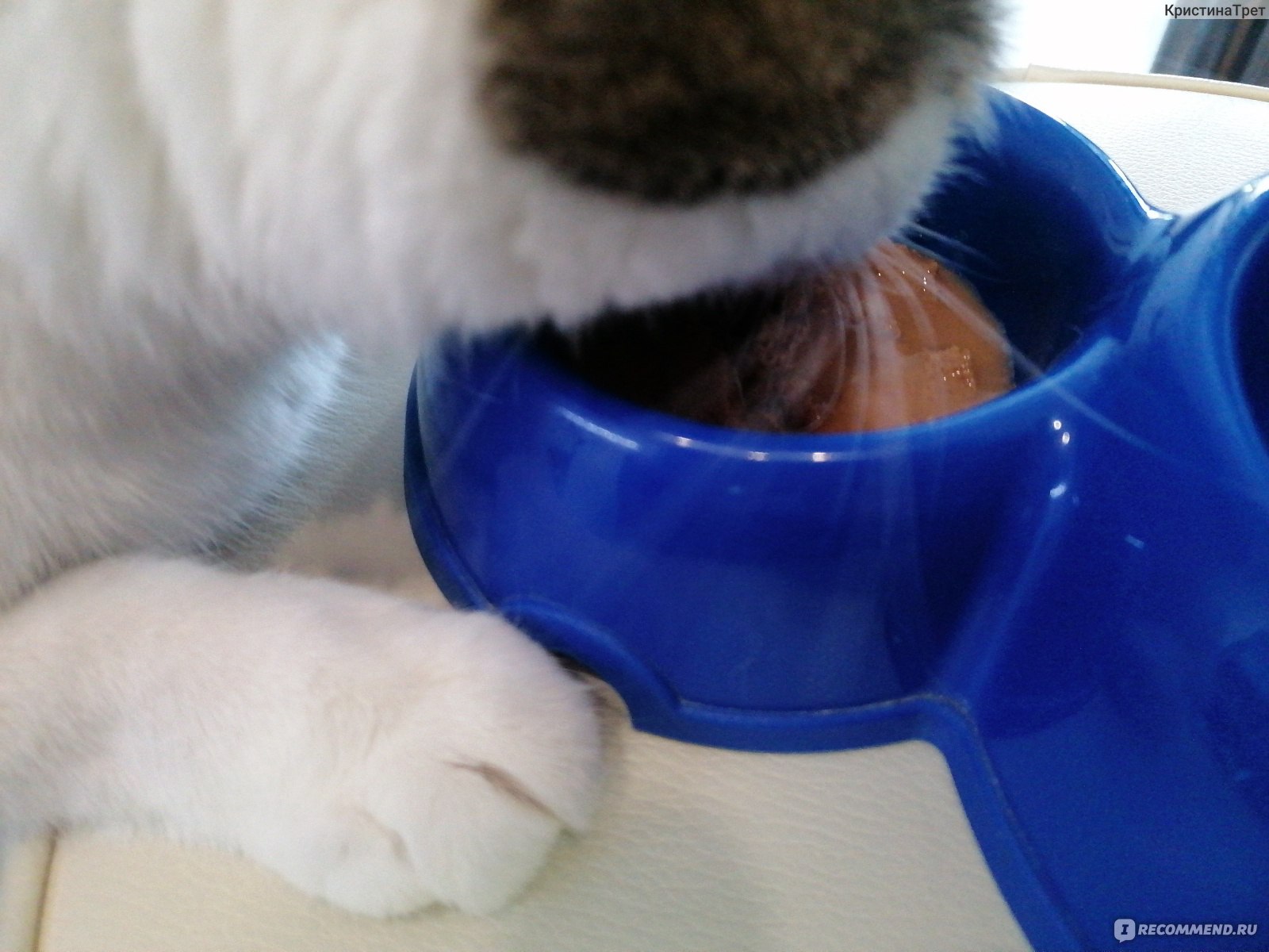 Корм для кошек Purina Pro Plan Veterinary Diets Hydra Care фото