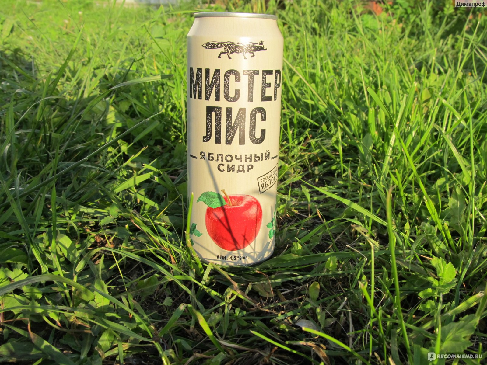 Лис напиток. Сидр Хайнекен. Мистер Лис Heineken. Мистер Сидор сидр. Мистер Лис сидр.