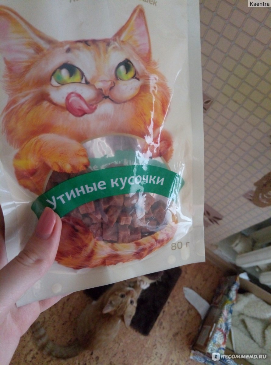 Корм для кошек Лакомство Molina утиные кусочки - «Кот кушает и просит ...