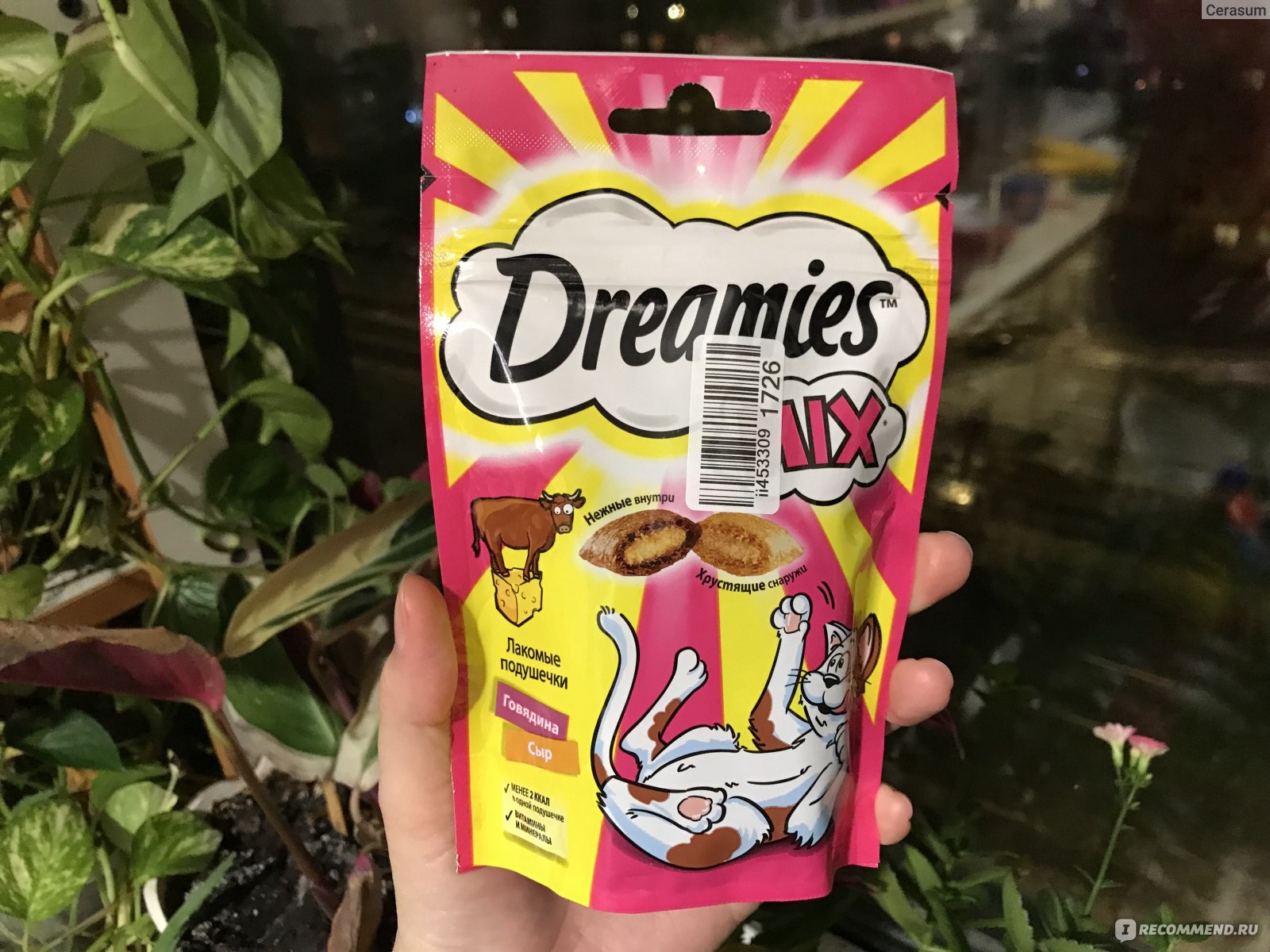 Лакомство для кошек Dreamies Говядина/Сыр - «Вкусные подушечки, которыми  любит хрустеть мой питомец, но я стараюсь не давать их много» | отзывы