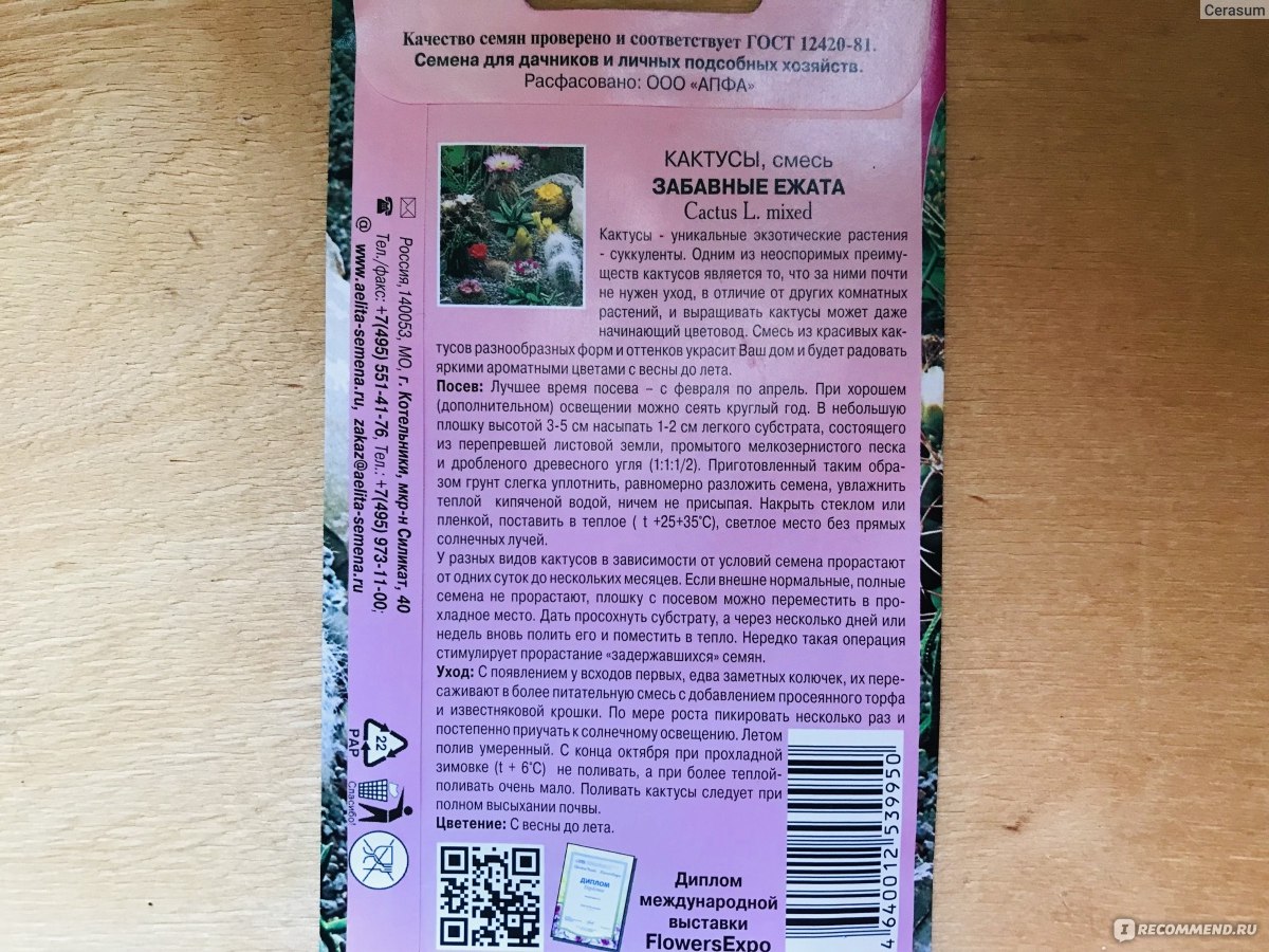 АПФ Аэлита Экстра Кактусы Забавные ежата, смесь, серия Экзотический сад -  «Теперь у меня есть маленькие ежата на окнах, которые почти не требуют  ухода: очень милые малыши.» | отзывы